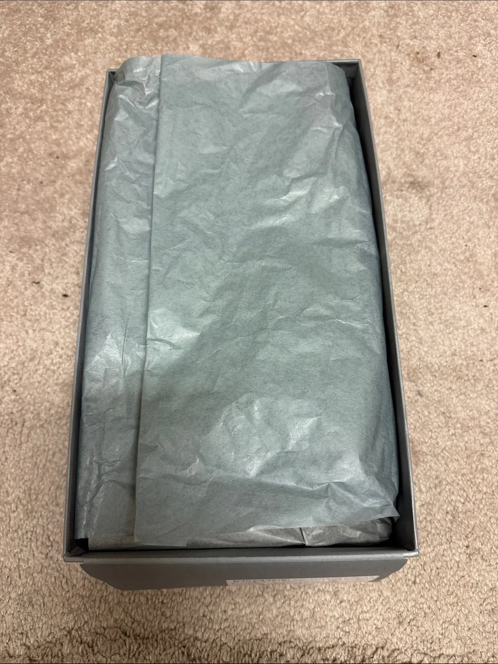 Balenciaga authentic pool